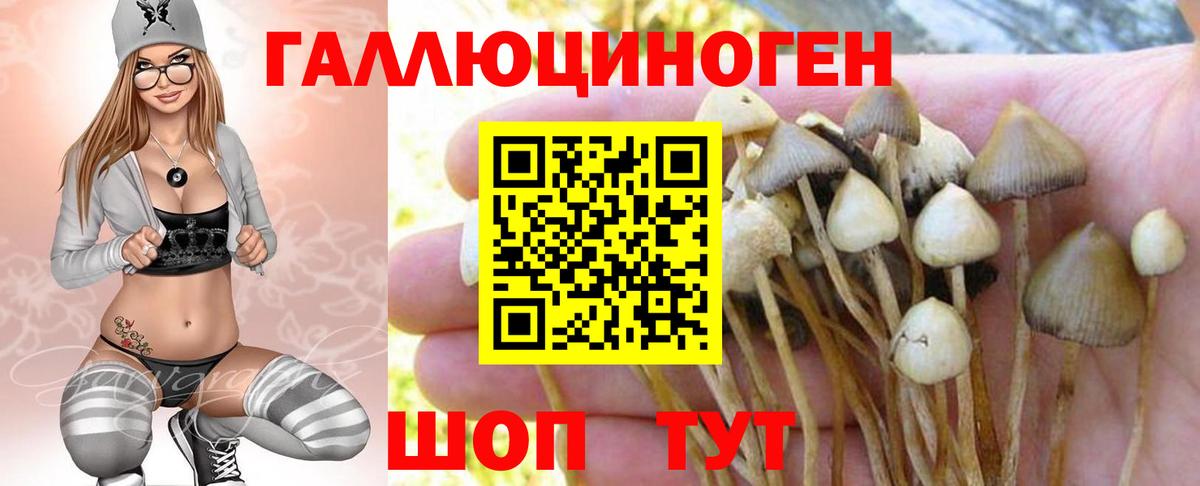 Новокуйбышевск  Галлюциногенные грибы ЛСД  Вход с VPN  Псилоцибиновые грибы мухоморы 