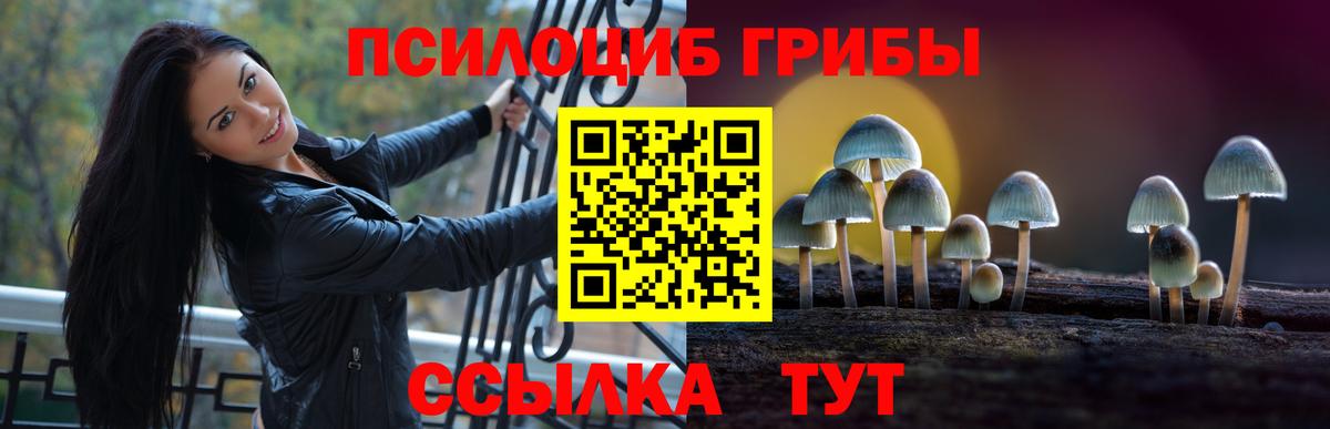Псилоцибиновые грибы прущие грибы Новокуйбышевск